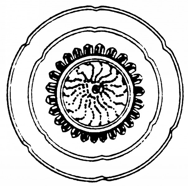 两宋时期盘子花纹图片大全