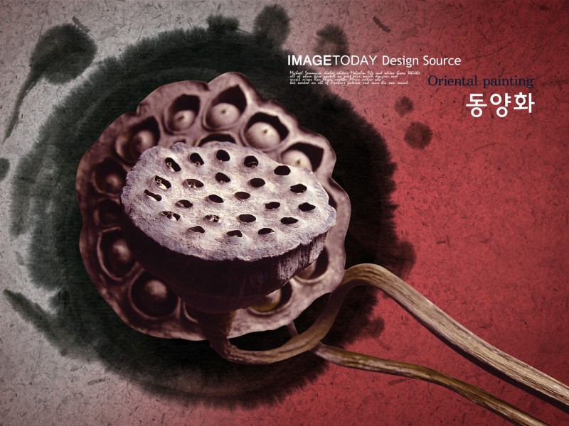 莲盒墨染图片