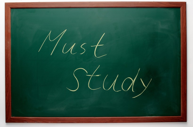 创意静物图片大全