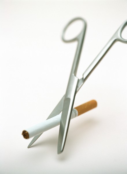 创意静物图片大全