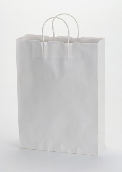 手提袋购物袋图片