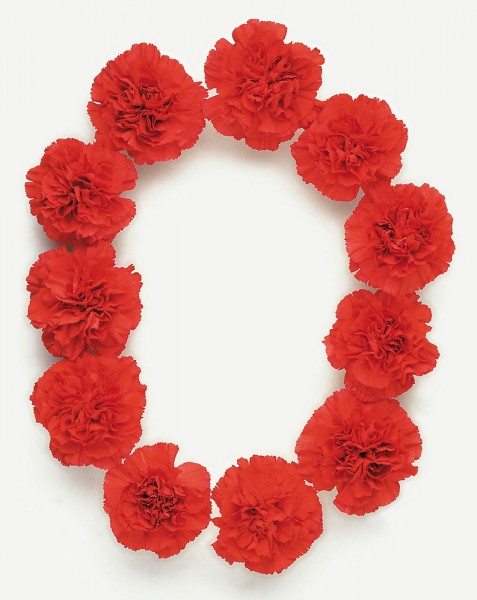 花形数字与字母图片