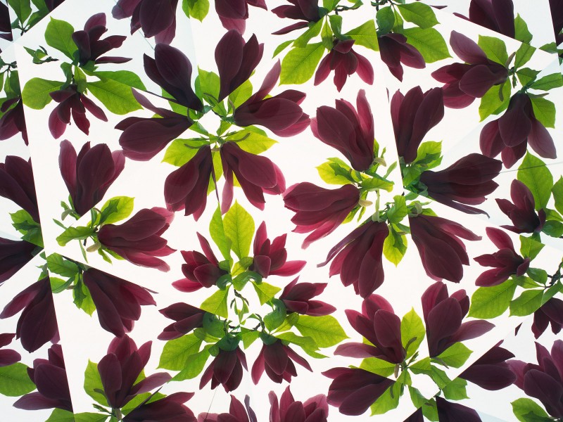 万花筒花卉底纹图片