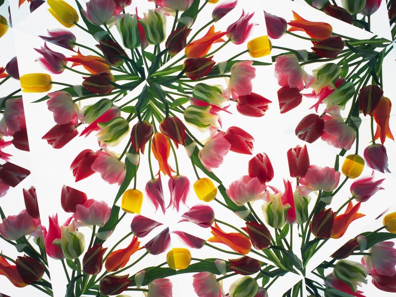 万花筒花卉底纹图片