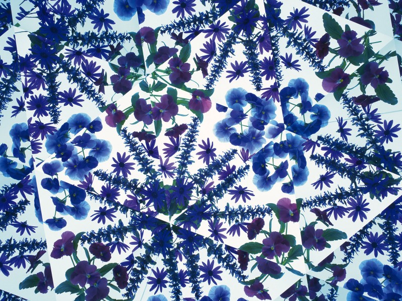 万花筒花卉底纹图片