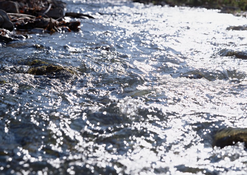 珍惜水资源图片