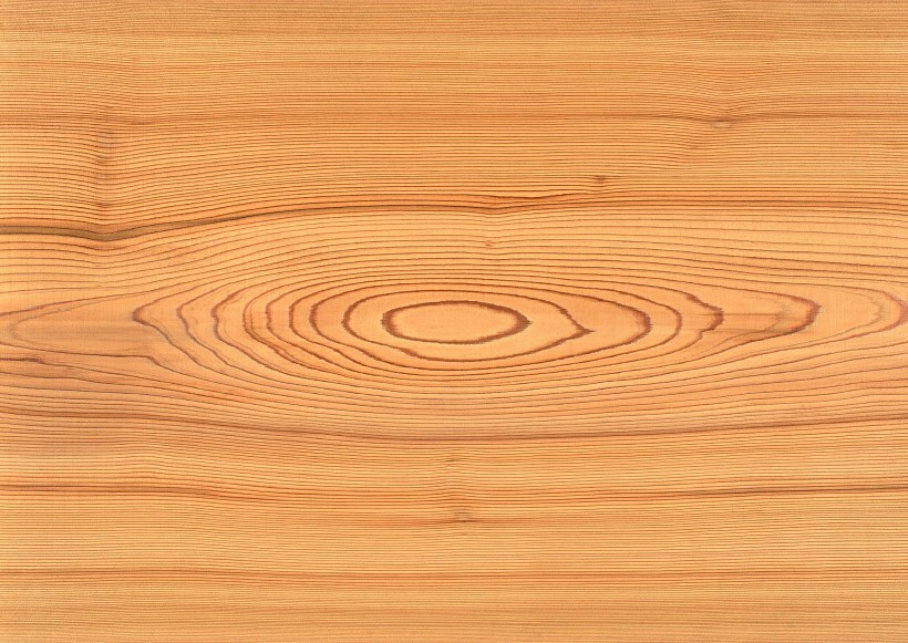木纹图片大全