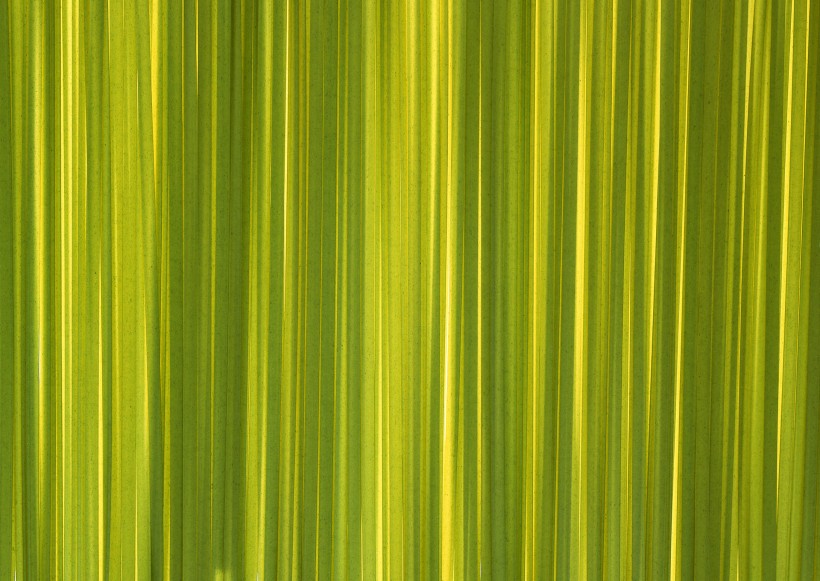 彩色条状背景素材图片大全