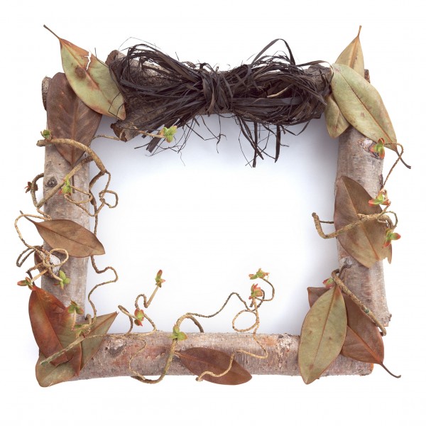 精美花草相框图片