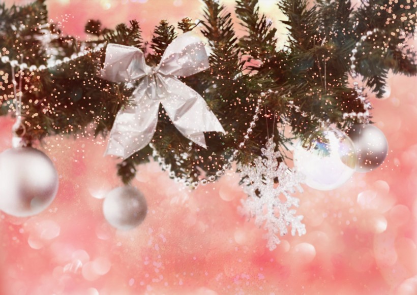 鲜花季节之冬图片