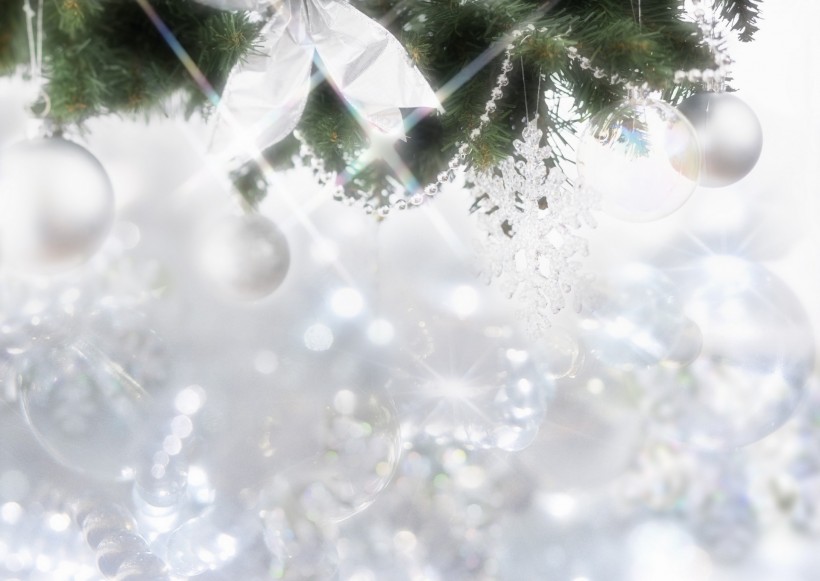 鲜花季节之冬图片