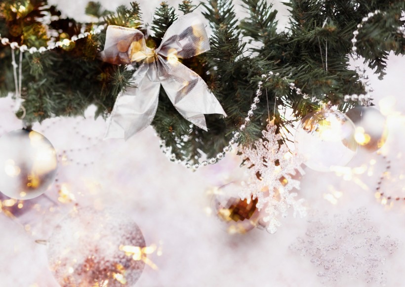 鲜花季节之冬图片