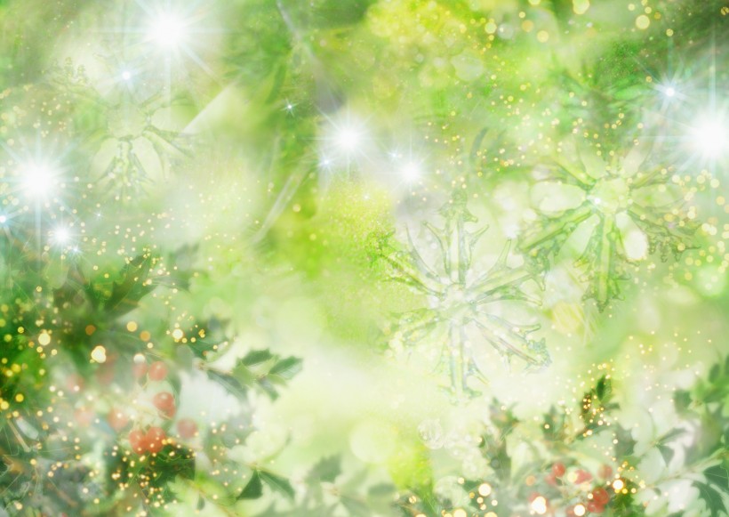 鲜花季节之冬图片