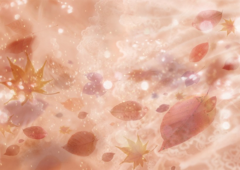 鲜花季节之秋图片