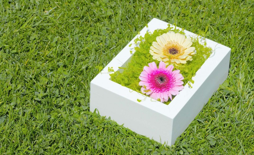 绿叶创意设计图片