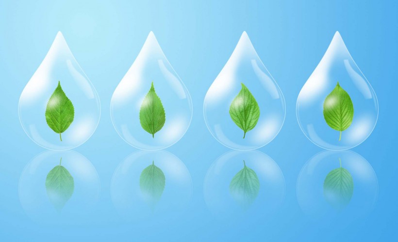 绿叶创意设计图片