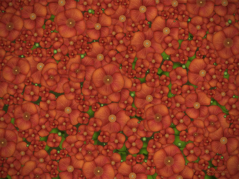 Vladstudio设计图片