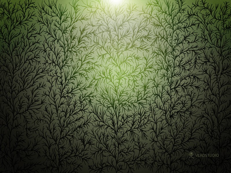 Vladstudio设计图片