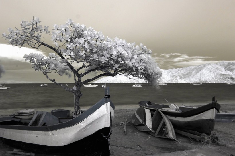 黑白风景摄影图片大全