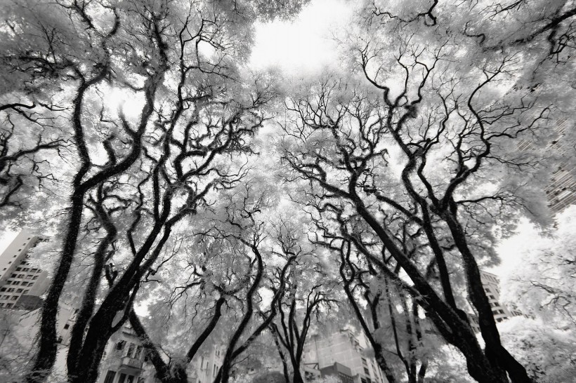 黑白风景摄影图片大全