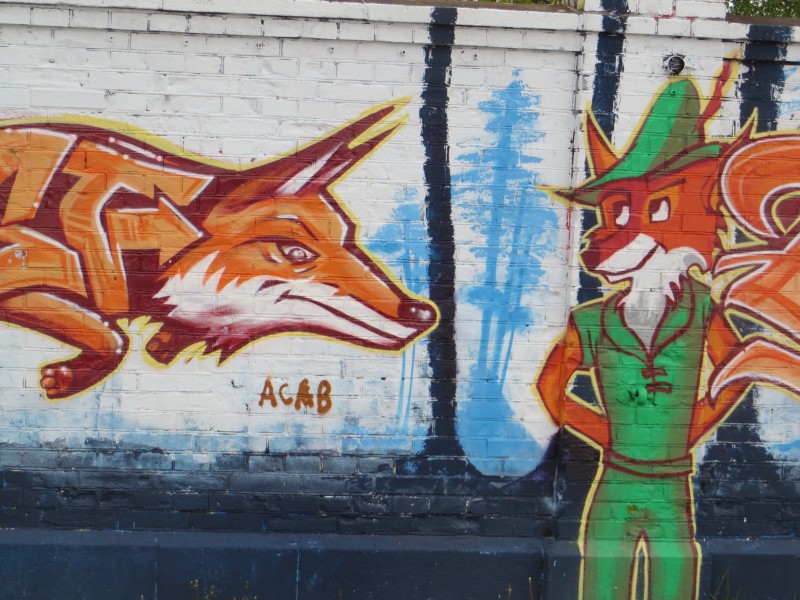 有创意的墙面艺术涂鸦图片