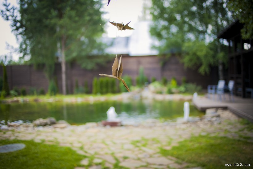 饱含祝福的千纸鹤图片