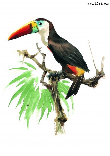 树枝上的小鸟彩绘图片