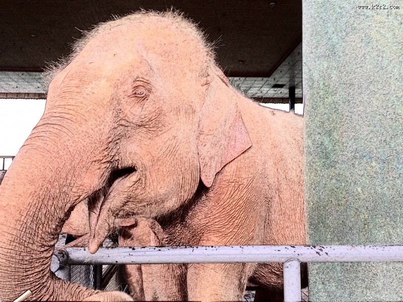 缅甸风情素描图片