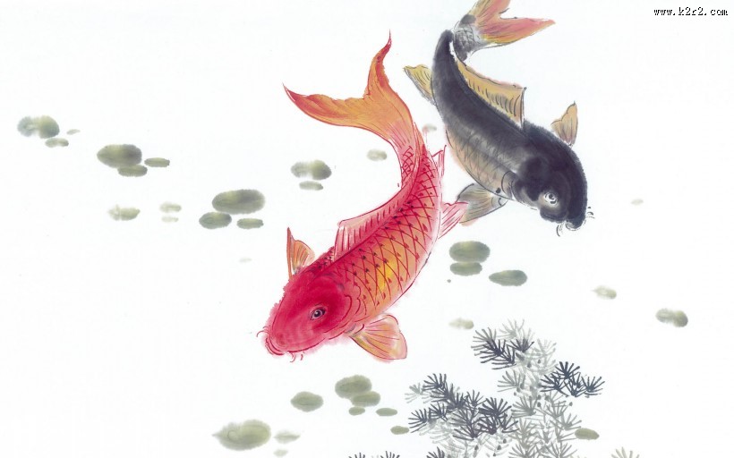 水墨画写意鲤鱼图片