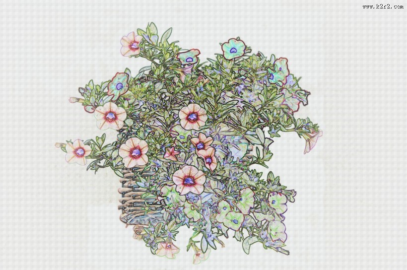 彩色素描花卉图片