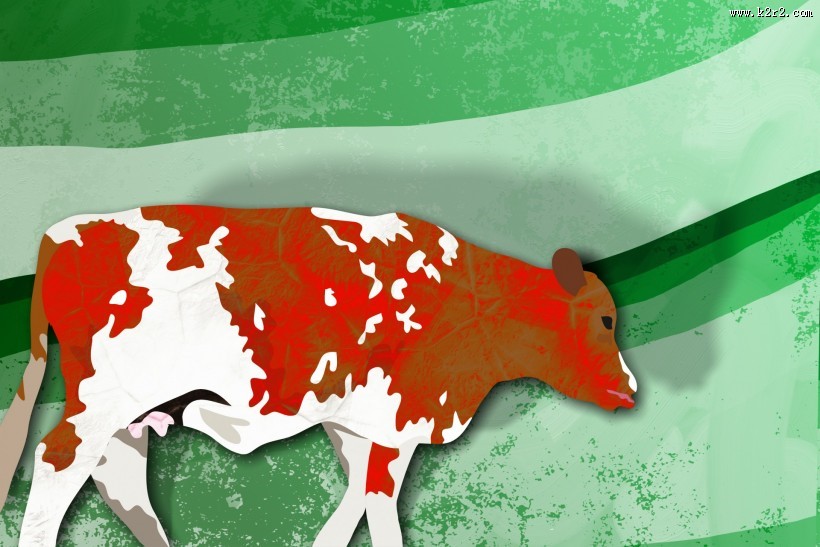 儿童简笔画图片大全