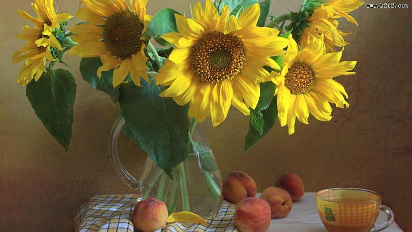 花卉油画静物背景图片