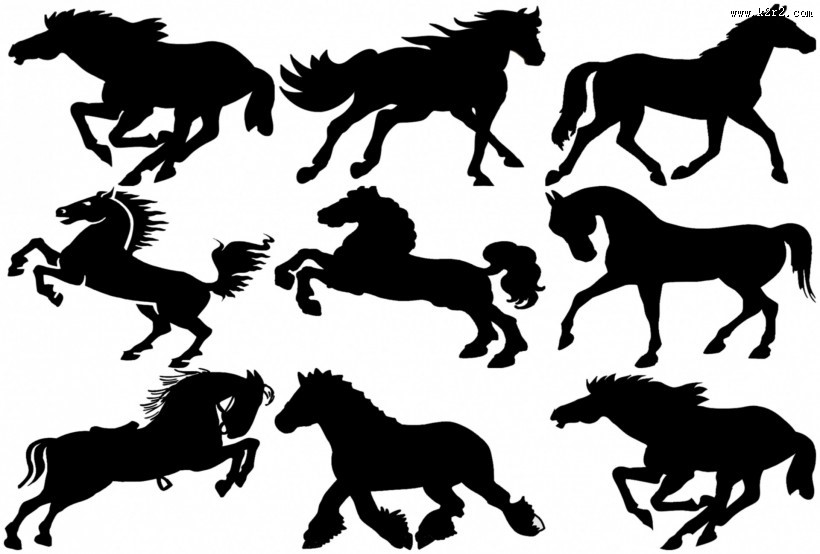 马的剪影图片