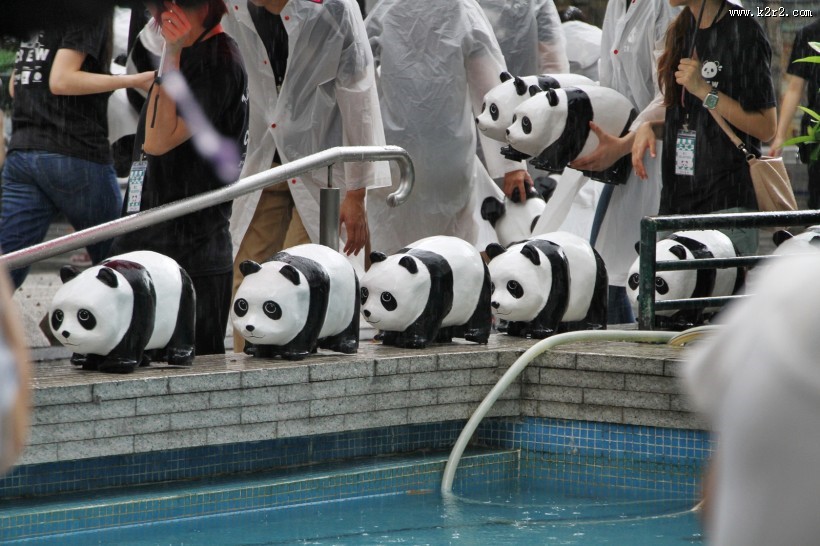 纸糊熊猫展图片