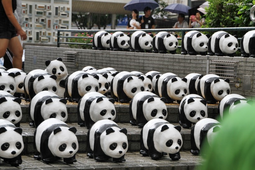 纸糊熊猫展图片