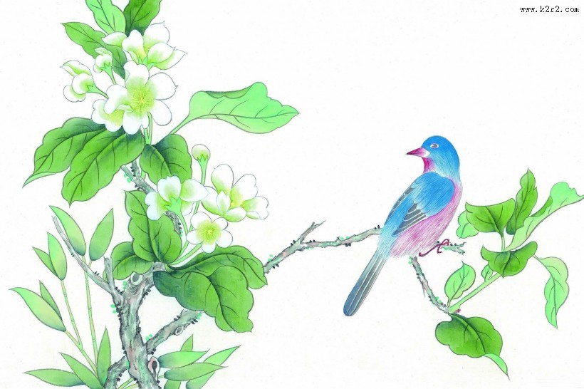 工笔花鸟画图片