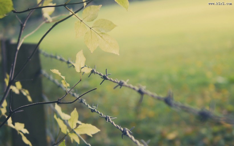 铁丝网创意摄影图片