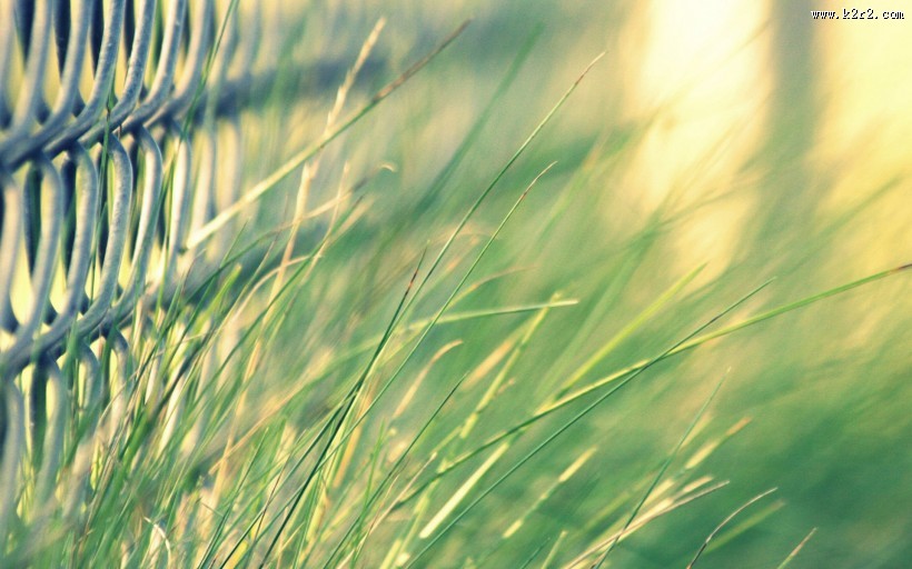 铁丝网创意摄影图片