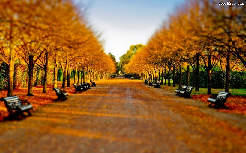 移轴镜头下世界的图片