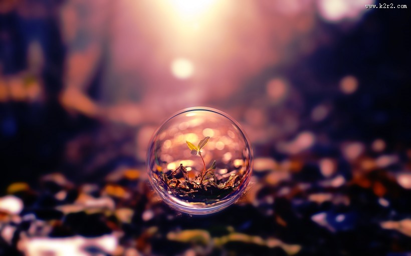 美丽的泡泡图片大全