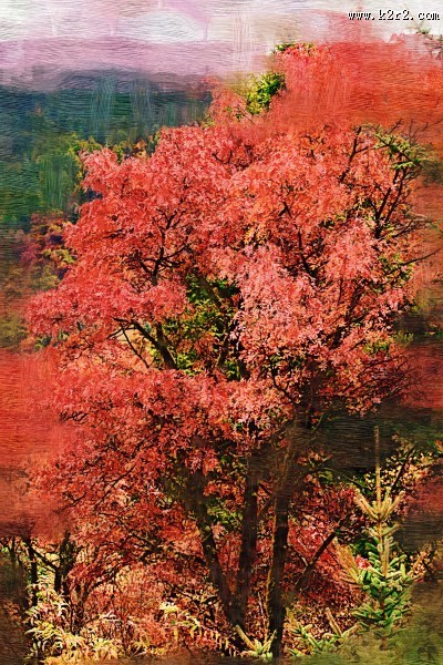 四川阿坝米亚罗风景油画效果图片大全