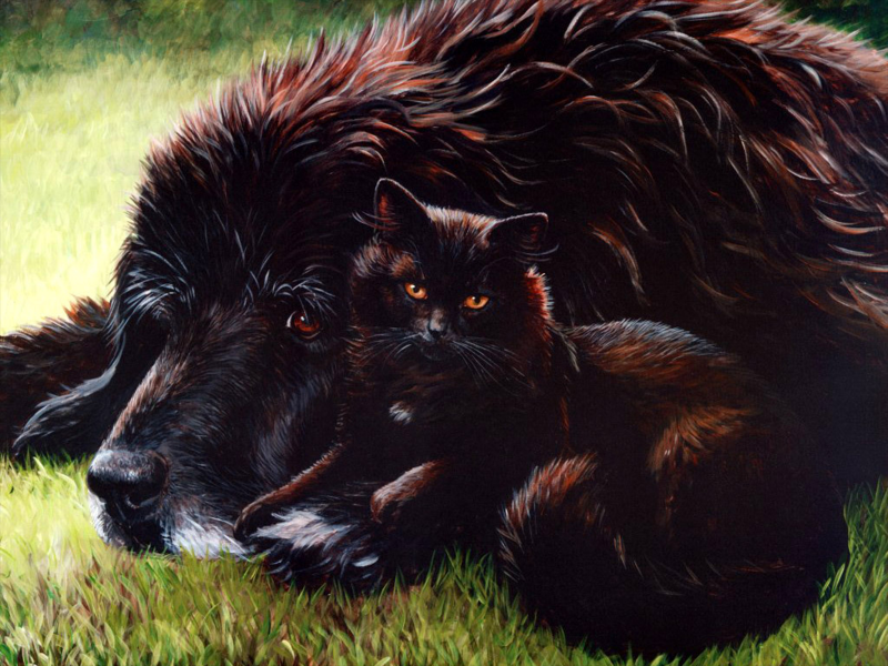 猫咪和它的小伙伴手绘图片