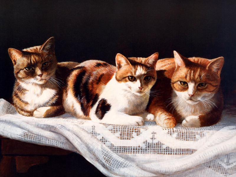 猫咪和它的小伙伴手绘图片