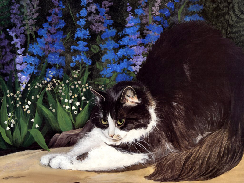 手绘猫咪可爱图片