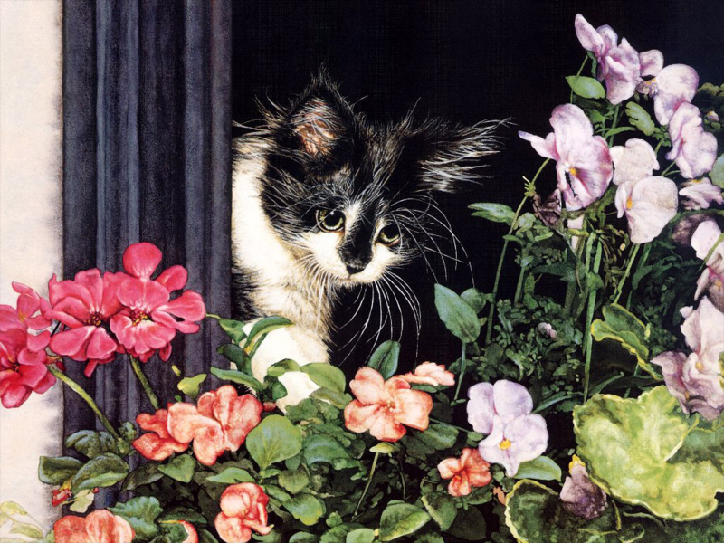 手绘猫咪可爱图片