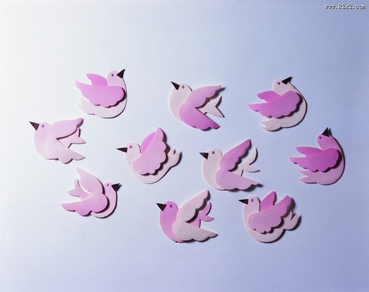 鸟类纸雕图片大全