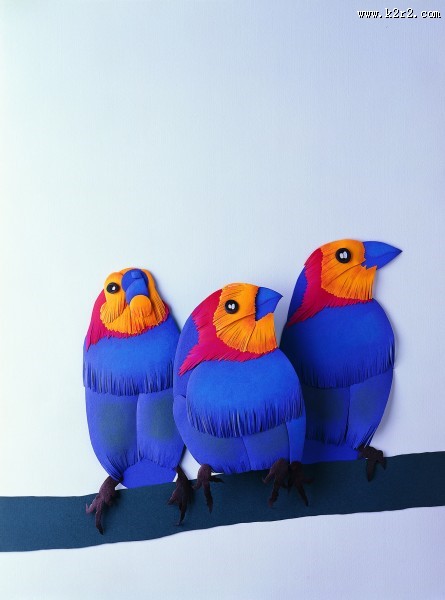 鸟类纸雕图片大全