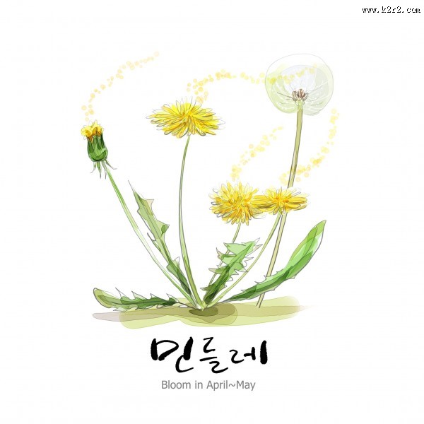 花草素描图片大全