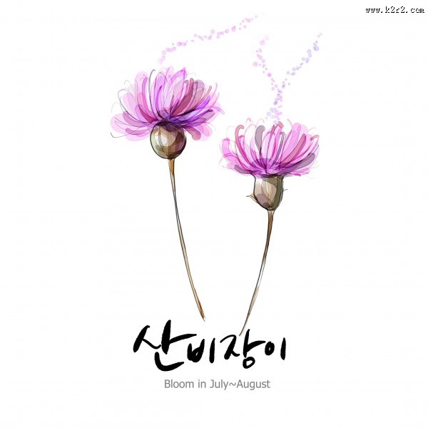 花草素描图片大全