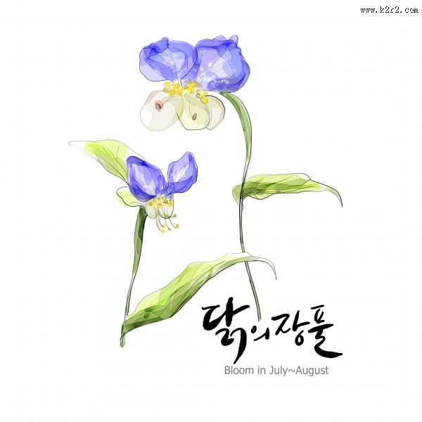 花草素描图片大全